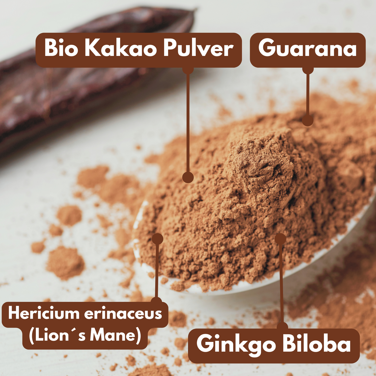 Dynamic Cacao MNTL Pulver