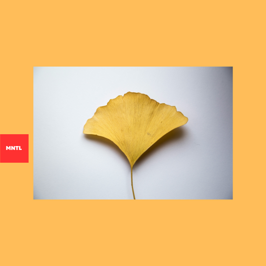 Vorteile von Ginkgo Biloba: Ein natürlicher Begleiter für Produktivität und Fokus