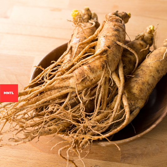 Die Vorteile des Ginseng-Pilzes für dein Wohlbefinden