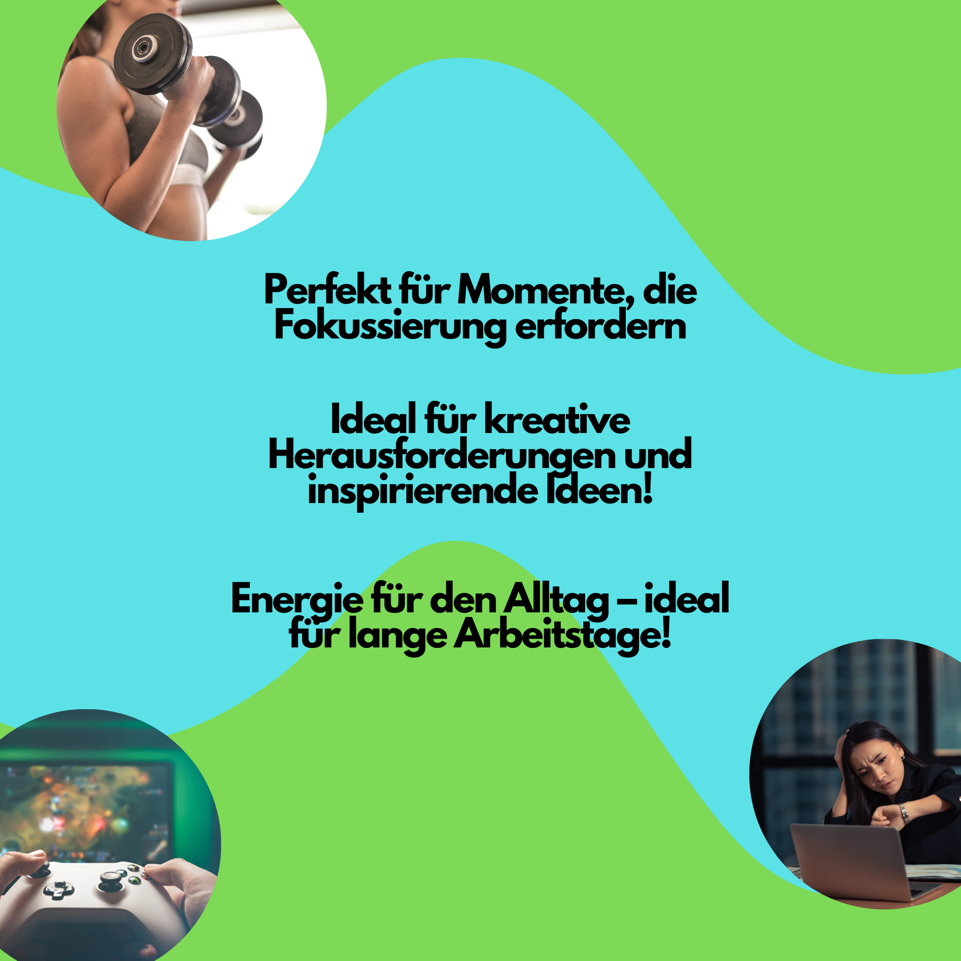 MNTL Minze Perfekt